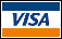 VISA Logo